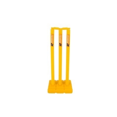 beach cricket set target