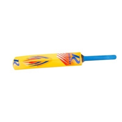 beach cricket set target