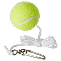 Regent Spare Spin Tennis Ball