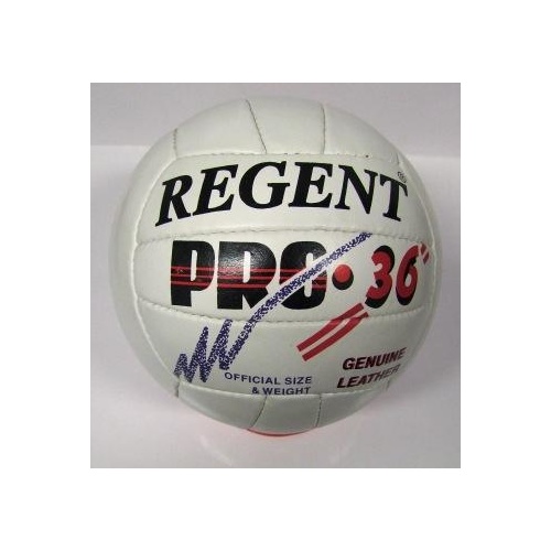 Regent Volleyball Ball - Pro 36